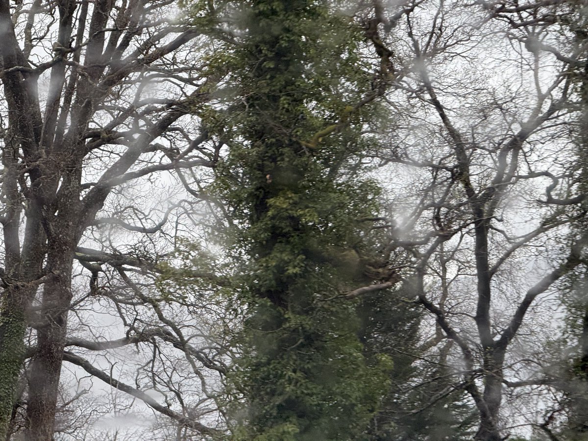 Russell Crowe tweet media