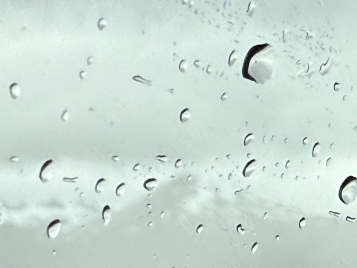 Russell Crowe tweet media