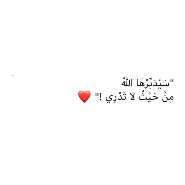 مُطمئِنةَ.! tweet media
