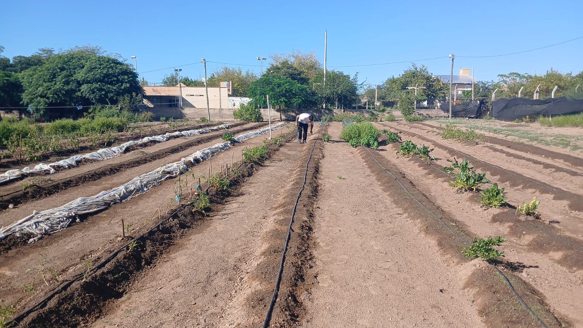Secretaría de Agricultura La Rioja tweet media