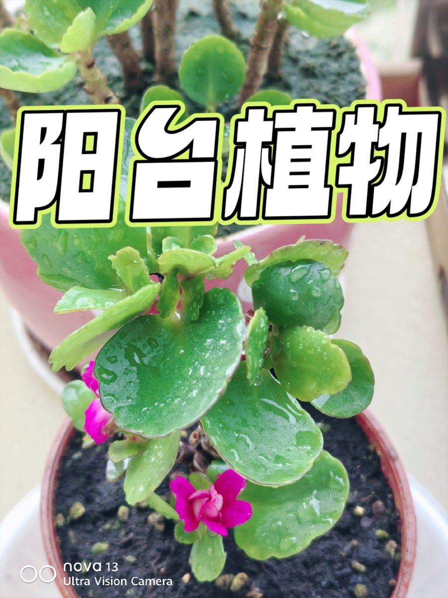 Andrew L. Smith tweet media