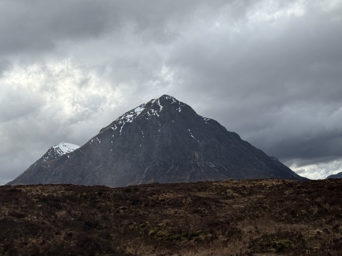 Russell Crowe tweet media