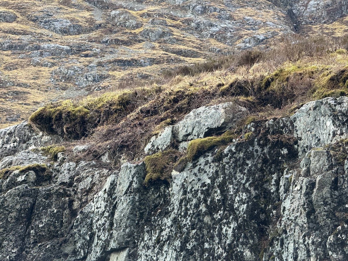 Russell Crowe tweet media