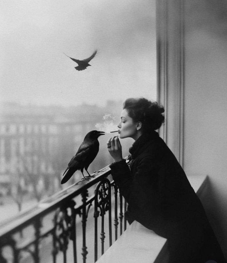 Lately, I’ve been realizing how easy it is to feel like you’re behind in life…

not because anything is actually wrong,
but because you can see what everyone else is doing.

You open your phone and it’s progress everywhere.

Someone just got a new job.
Someone is traveling.