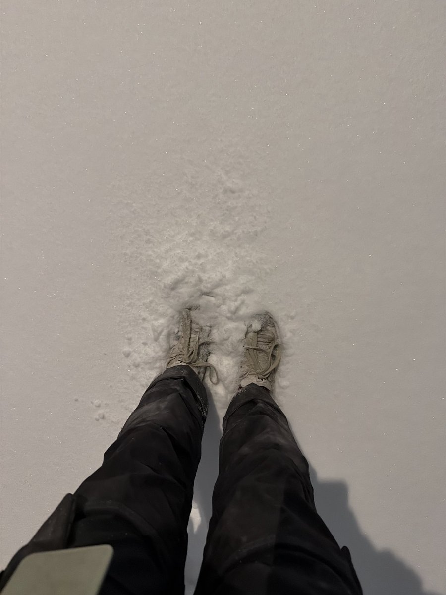 Leslie tweet media