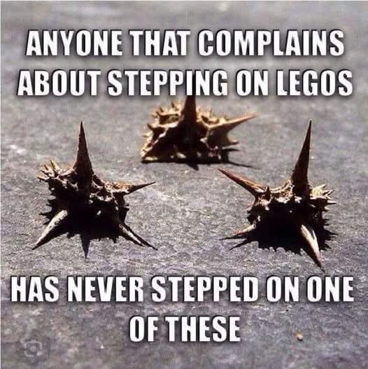 Toxic Cowboy 🤠 tweet media