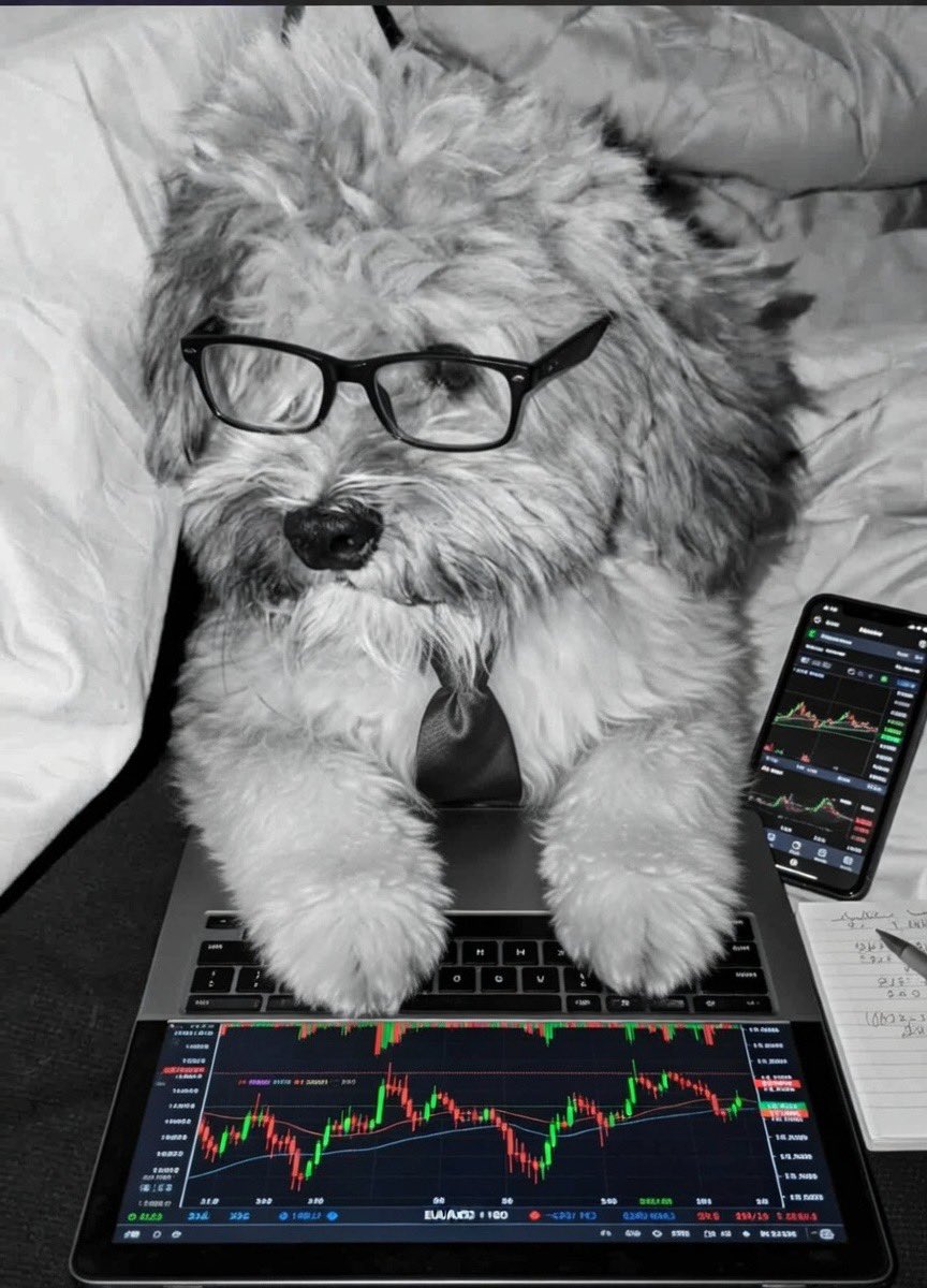 Toni Iyke tweet media