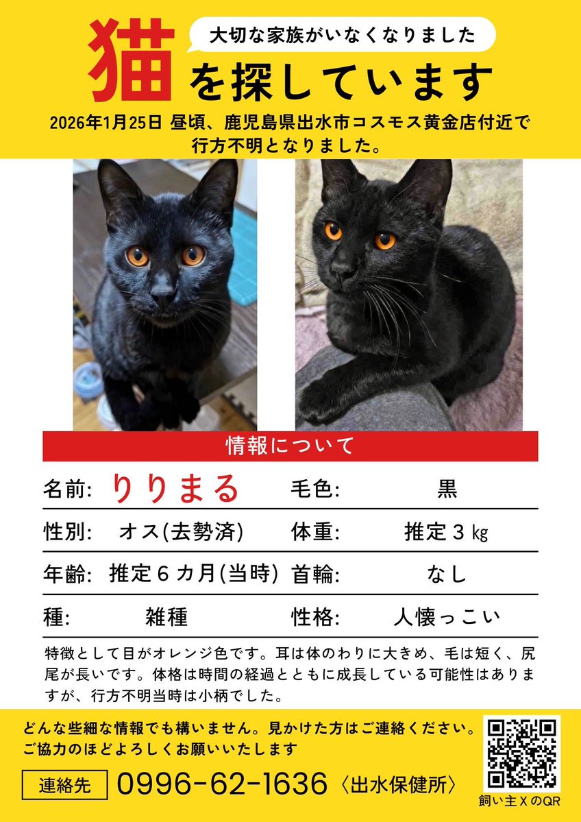 blackcat-ririmaru tweet media