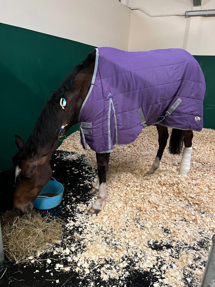 Ewan Whillans Racing tweet media