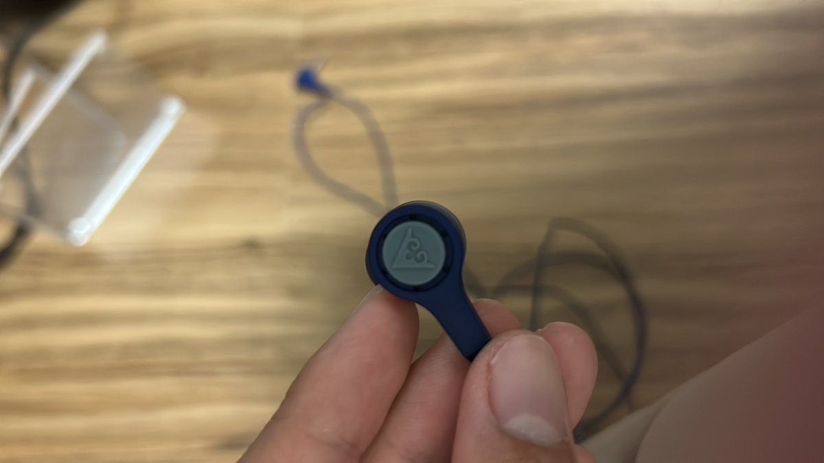 ねこぜ tweet media