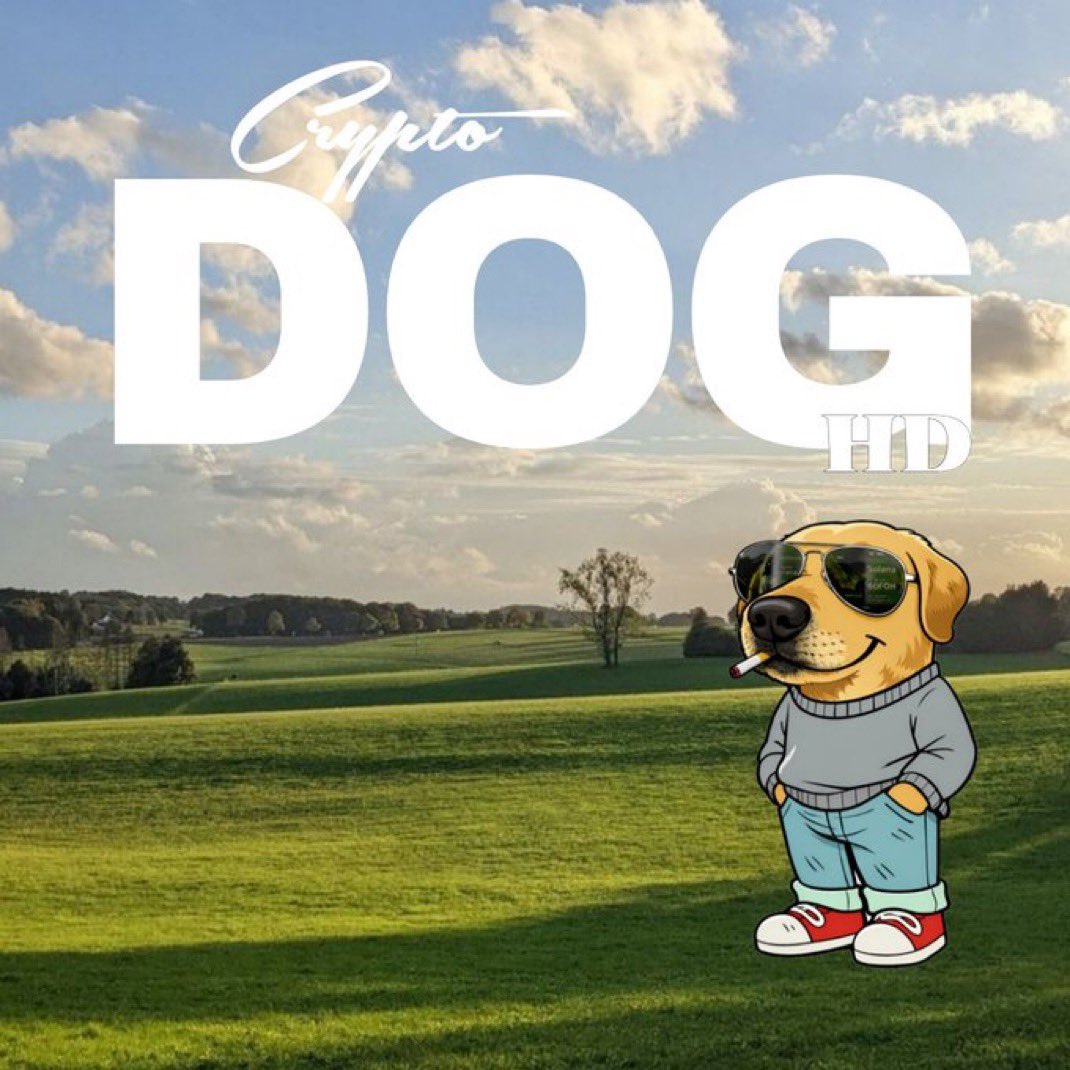 0xMayarJ { $DOG ARC 🐶} tweet media