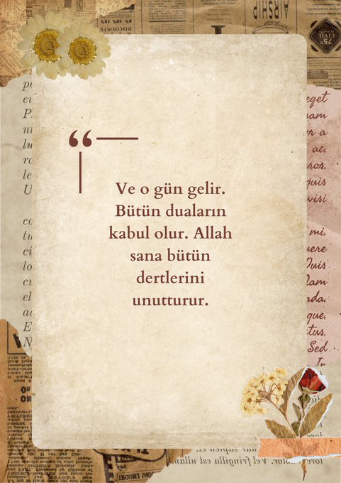 SifaDualari's tweet photo. https://t.co/xlulEvh6LF