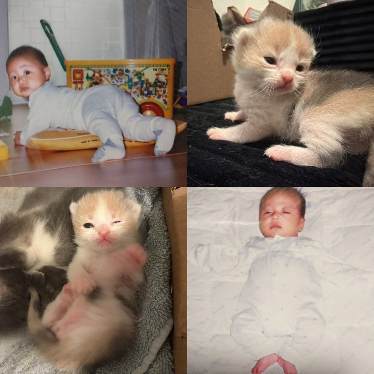 bibi 🎀 tweet media