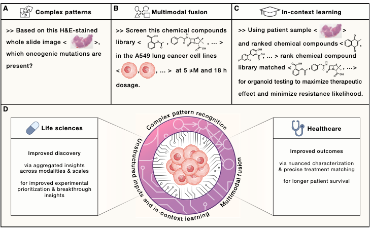 A new perspective from Microsoft Research published in Cell makes the case that generative models ar...