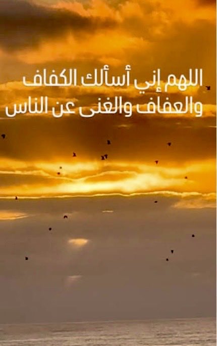 K͜͡ᗩᖇᗴᗴᗰ ღ ρڪَـريۧــ ❥ tweet media