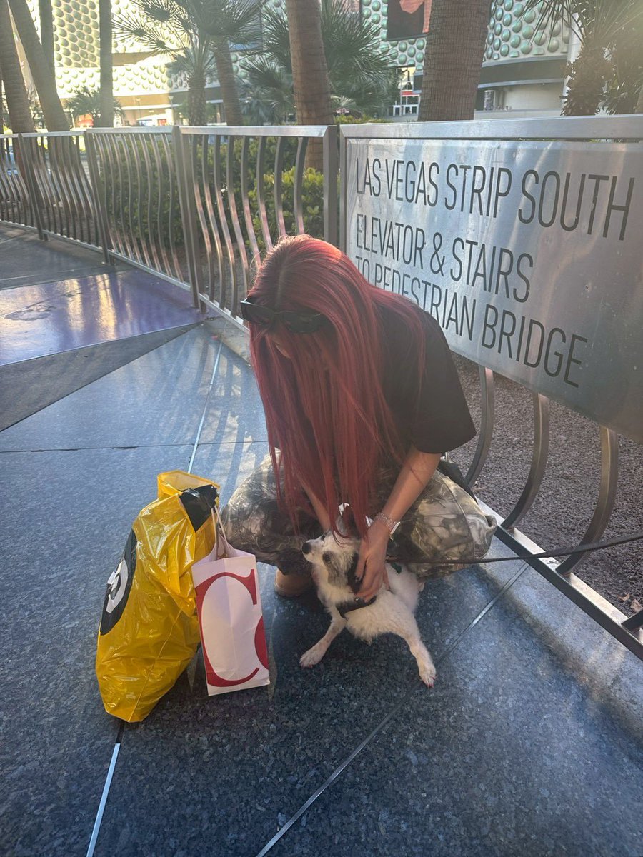 葉月/HAZUKI tweet media