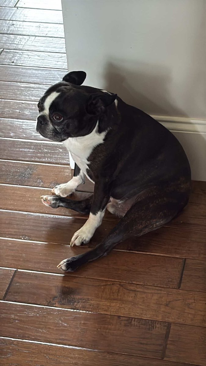 fåbs • MICHAEL JACKSON FOREVER tweet media