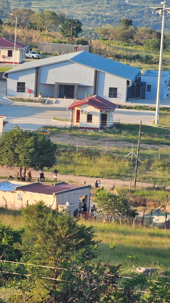 The Neighbor🇸🇿 tweet media