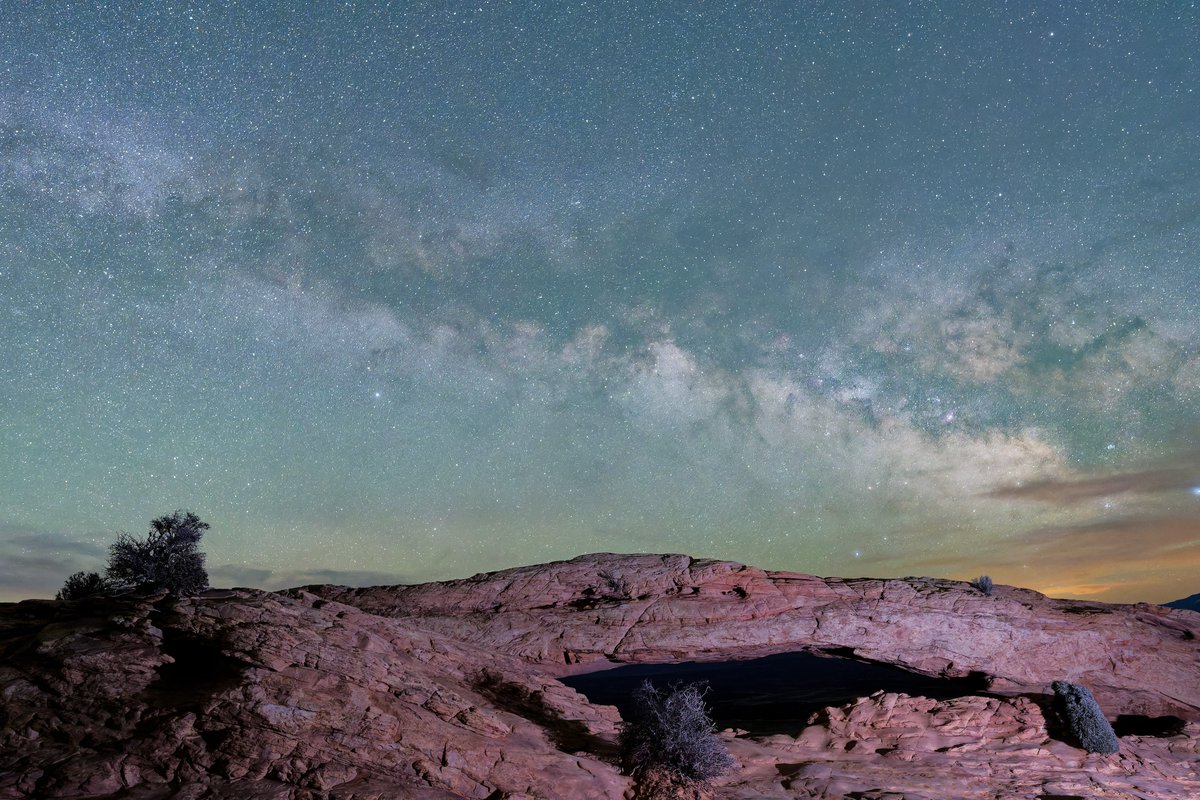 Pat Dooley tweet media