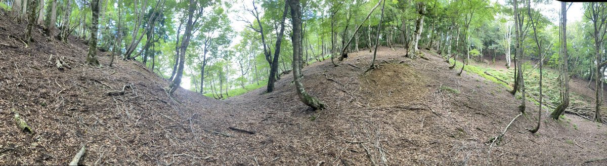 Shunsuke Matsuoka tweet media