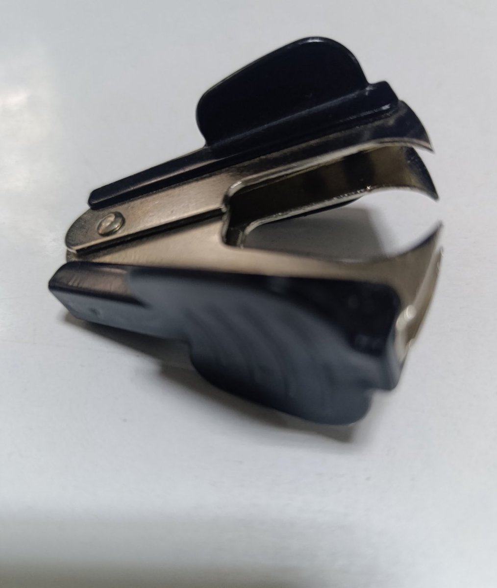 Melis ✨ tweet media