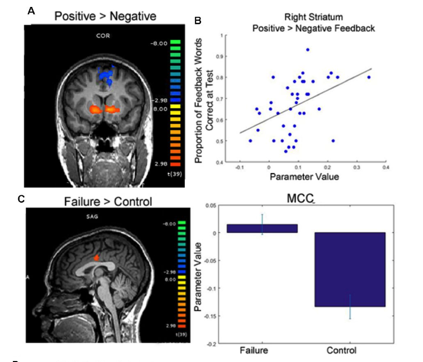 Dr. Javier Flores tweet media