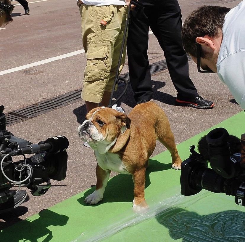 raye⁴⁴ tweet media