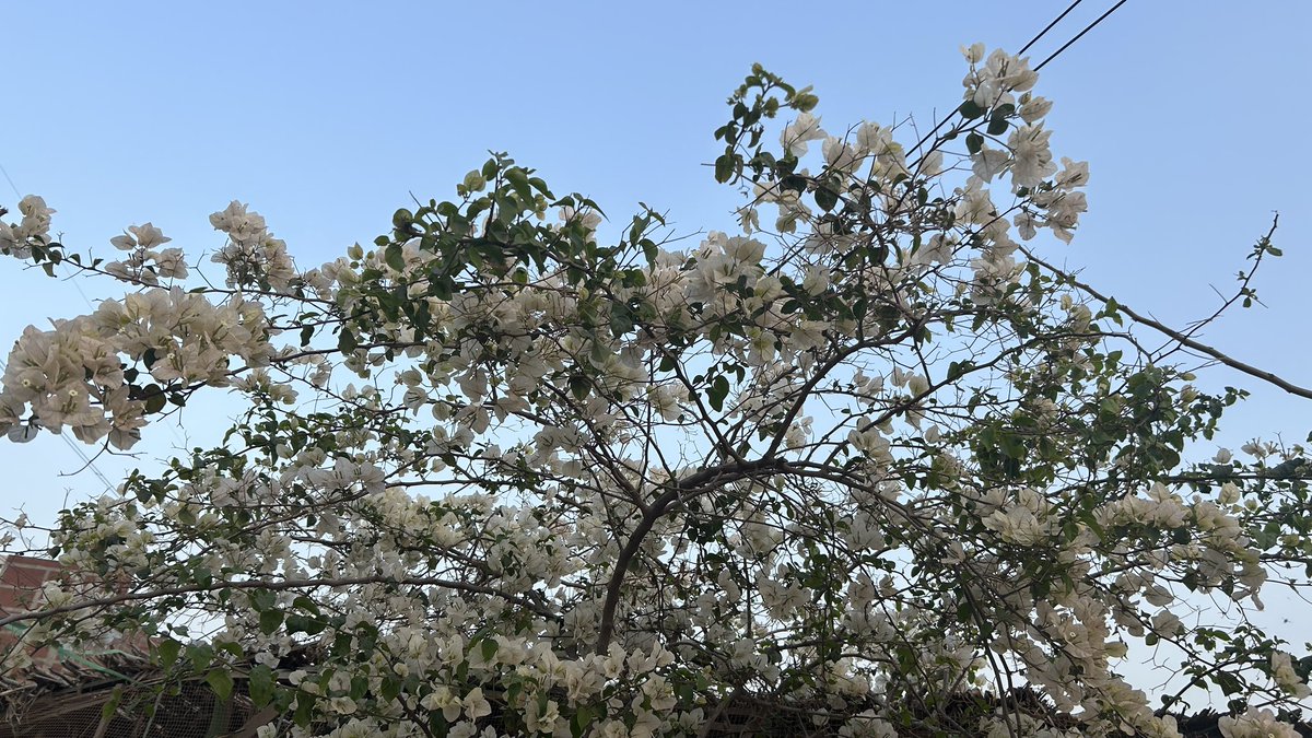 هود بن خالد| 🇴🇲 tweet media