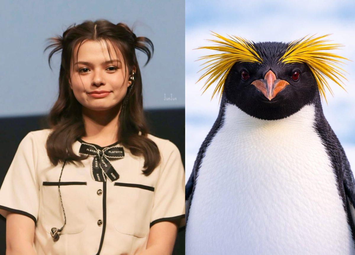 FreenBecky🇨🇱 tweet media