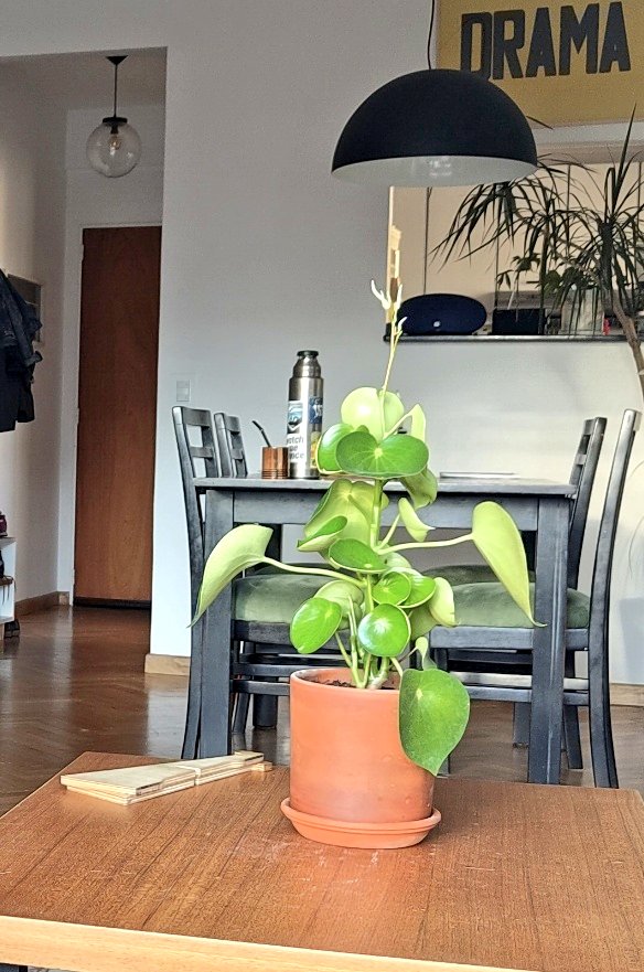 natalia laube tweet media