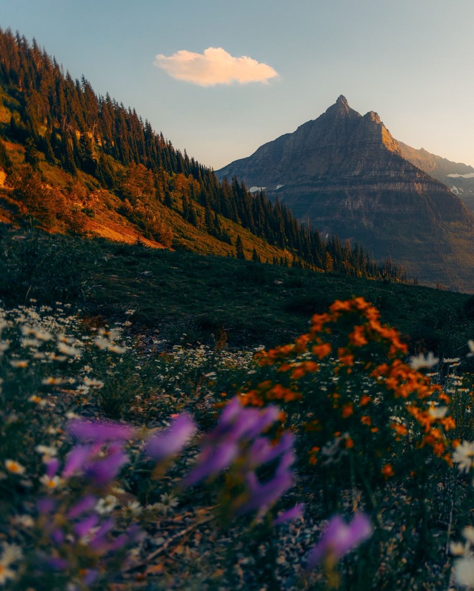 جمال الطبيعة tweet media