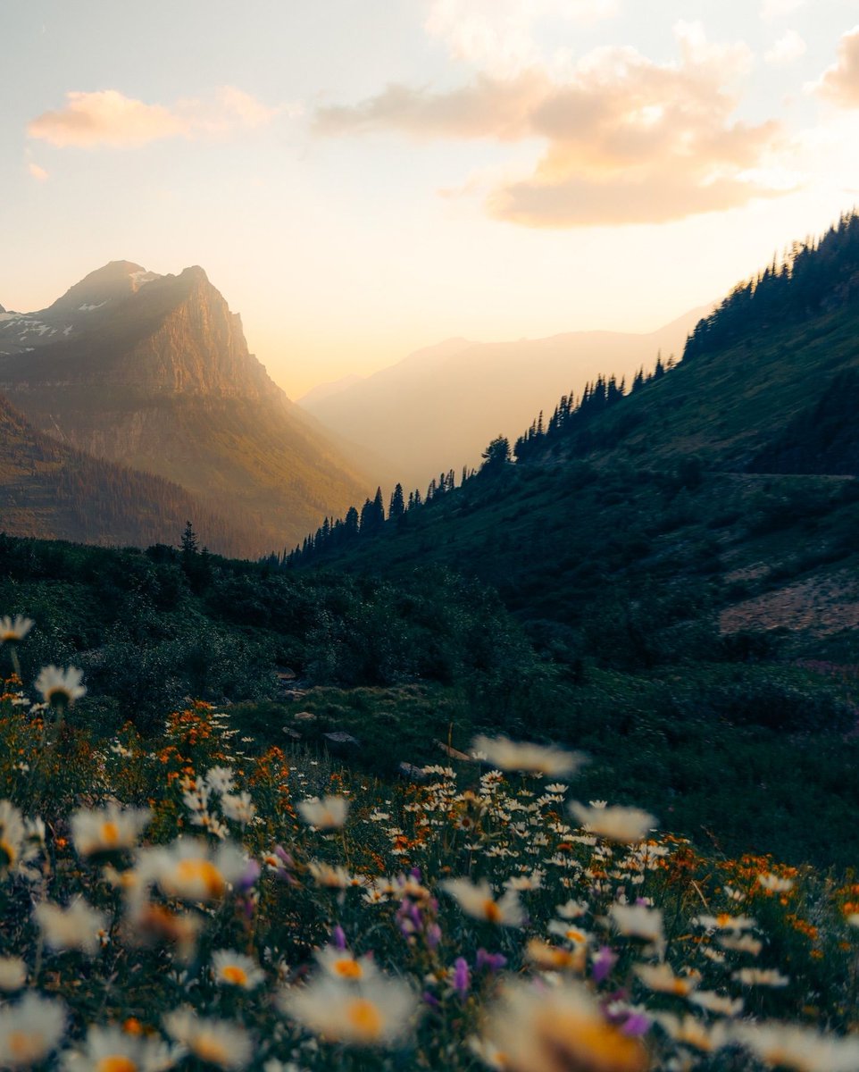 جمال الطبيعة tweet media