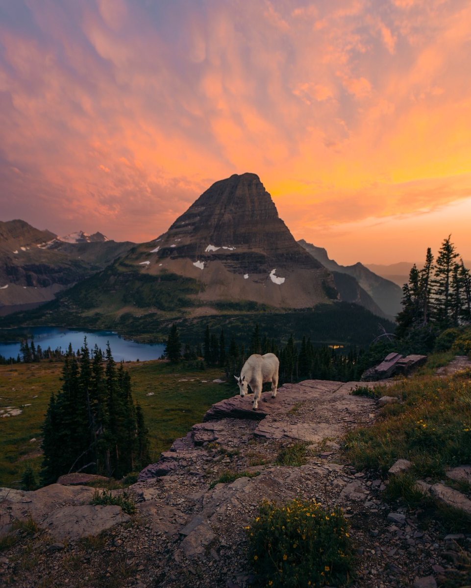 جمال الطبيعة tweet media