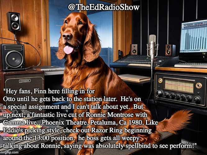 TheEdRadioShow's tweet image. #radio #dogs #guitar #RonnieMontrose #livecut 

1
Finn is covering for Otto and has Ronnie Montrose concerrt video cued up!