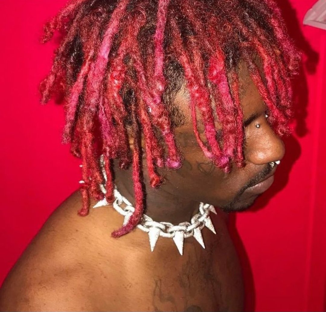 EA2DELUXE's tweet photo. Lil Uzi Vert's Hair as Plants 🪴 

thread🧵 https://t.co/0ho4RAZtuJ
