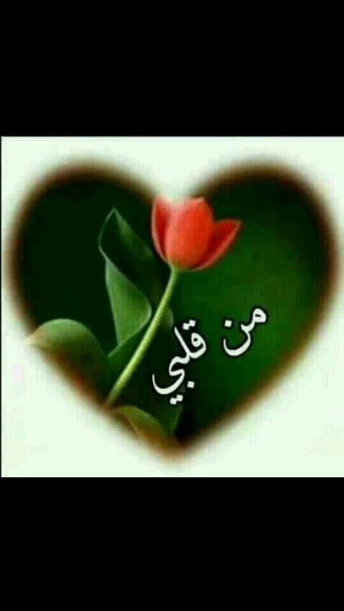 علي المحنشي tweet media