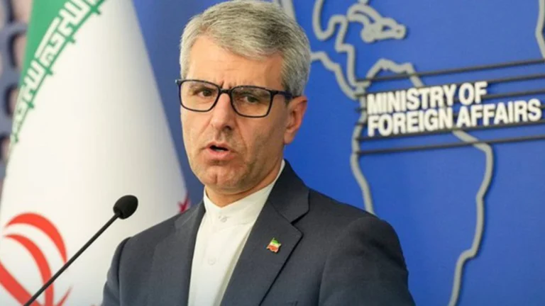 teleSUR English tweet media