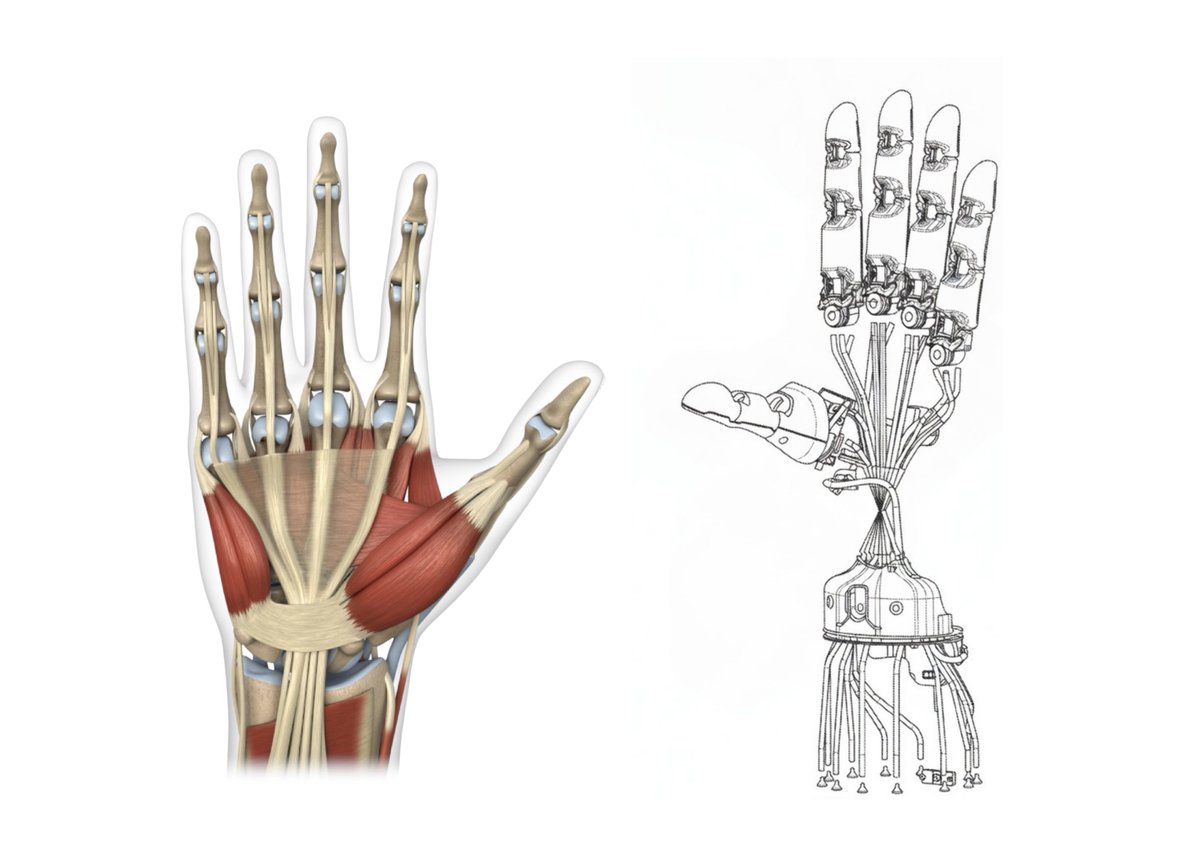 Nic Cruz Patane tweet media