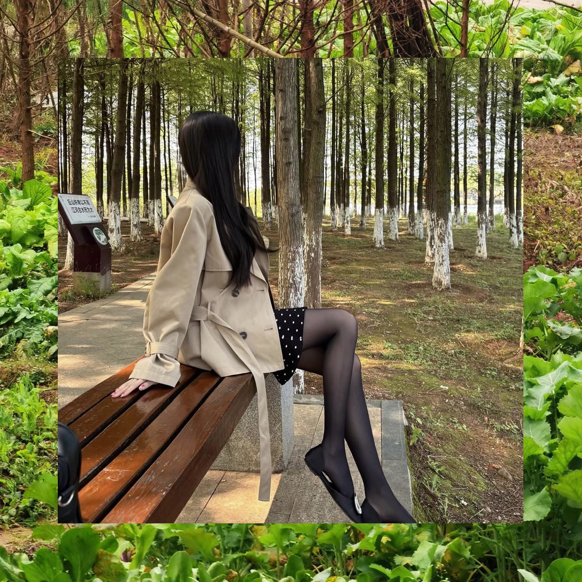 Rodrigo Gee tweet media