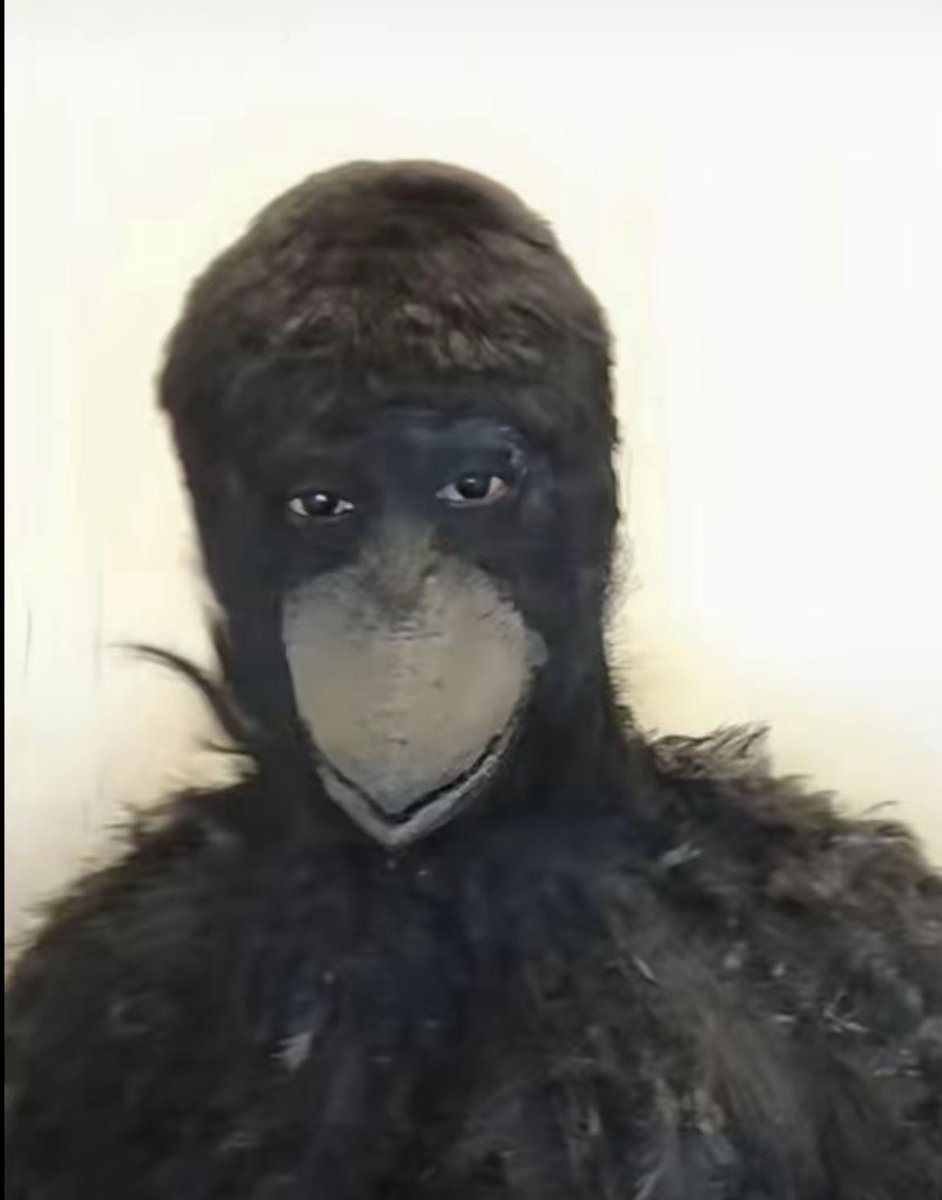 Hamdallahinho tweet media