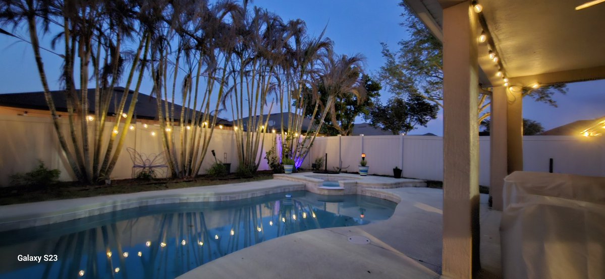 Colorado Mom 🟧 📎 🇺🇦🇺🇦 VOTE BLUE tweet media