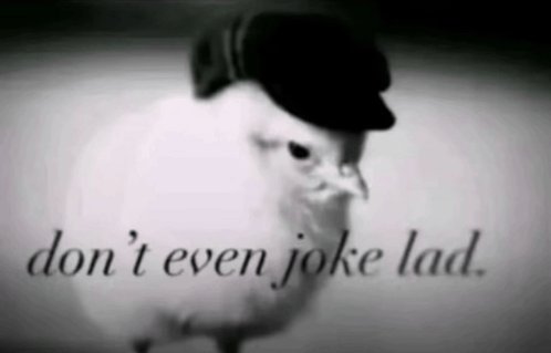 Jay has the Jitters tweet media