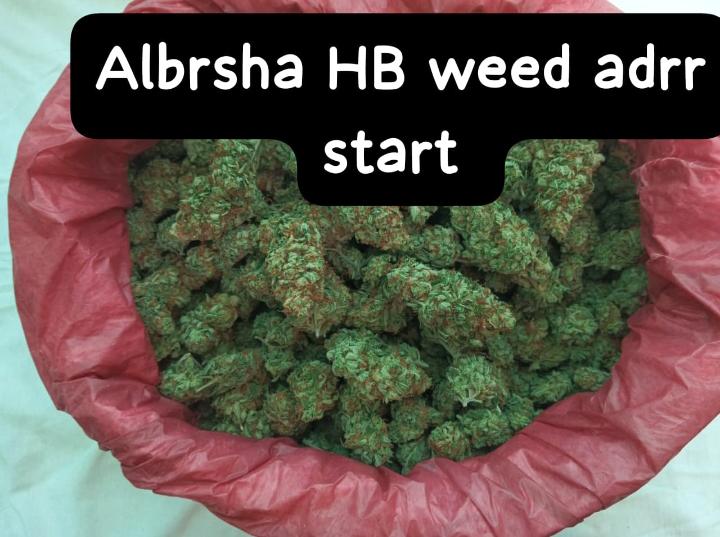 WQatar68364's tweet image. Whatsapp +923328939034
Available weed American hybrid delivery fast 
#Dubai 
#albrsha 
#AbuDhabiGP 
#Sharjah24 
#alqoz
#alnhda 
#diradubai 
#alkarama 
#Dip
#musaffa
Available all stuff all dubai delivery everytime fast 💯❤️ Good quality good price 💯