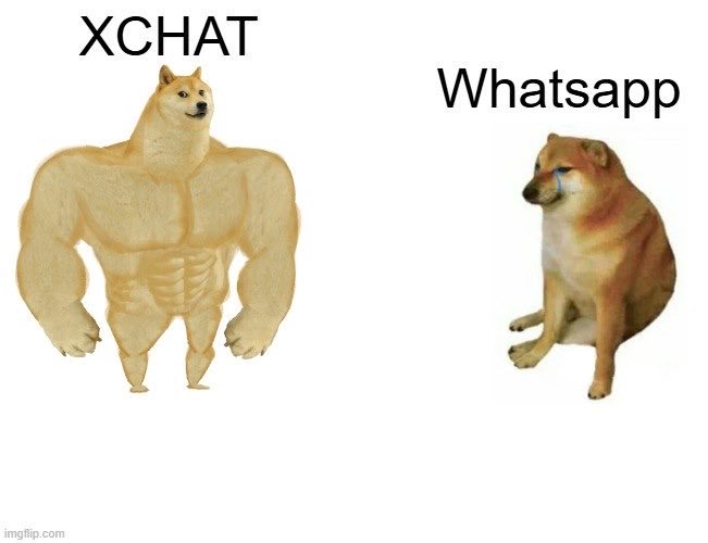 X Chat Fan tweet media