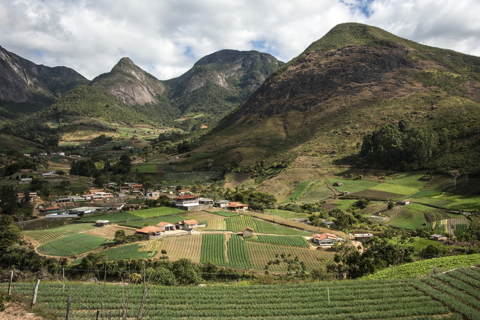 Mari Verse tweet media