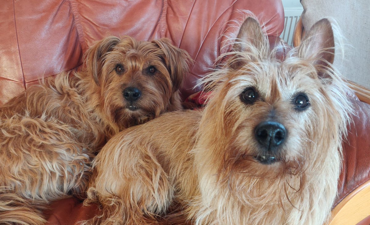 Helkky Hakamaa tweet media