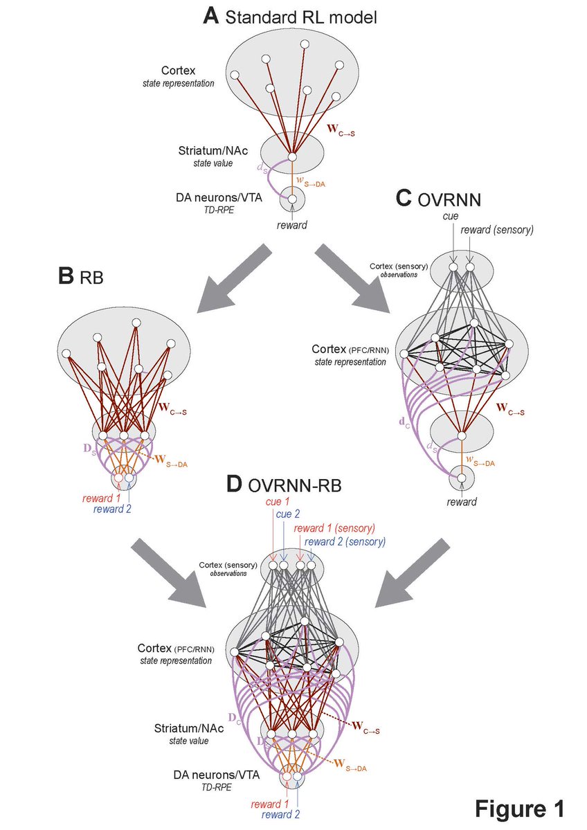 SfN Journals tweet media