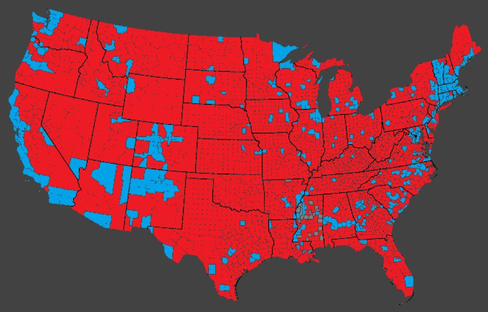 Gina Milan tweet media