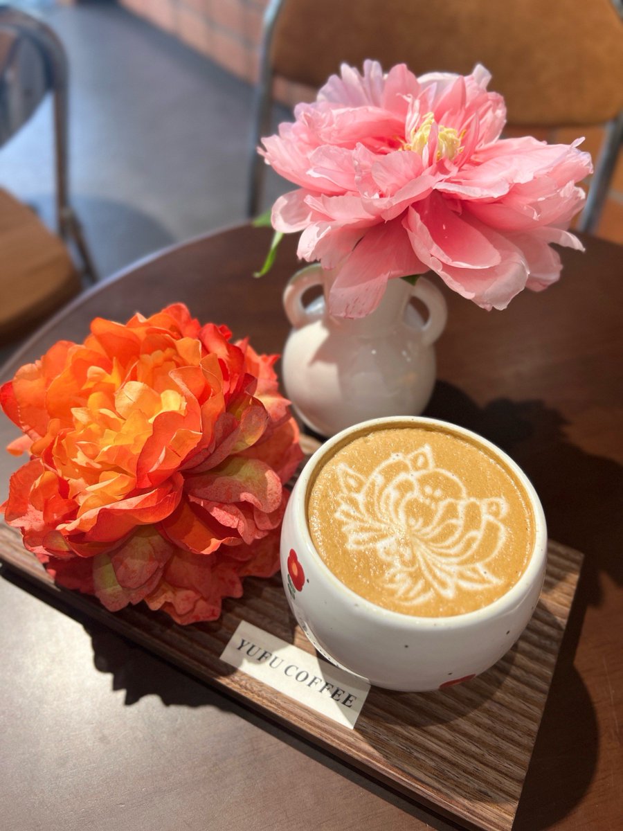 drtoofly15 tweet media