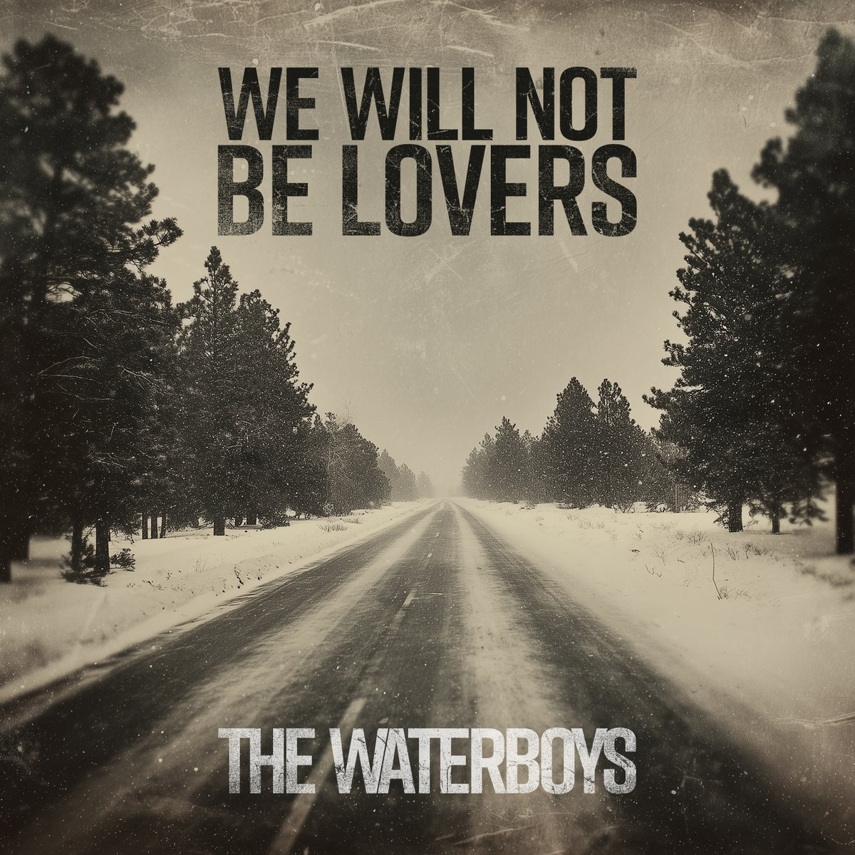 Mike Scott tweet media